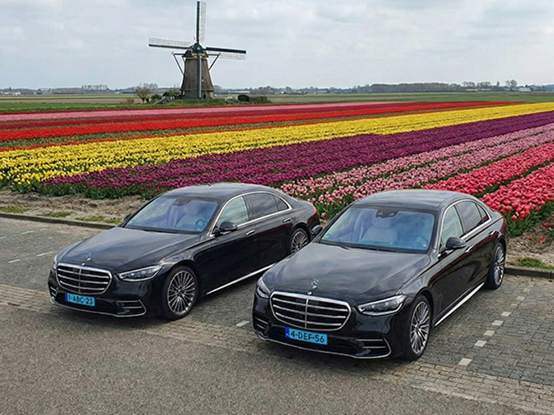 Chauffeur driven car fleet near tulips field